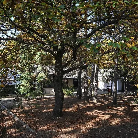 Hostel Matrafueredi Ifjusagi Tabor *