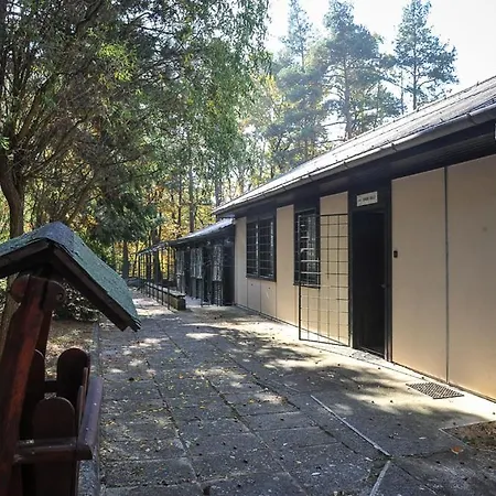 Matrafueredi Ifjusagi Tabor Mátrafüred